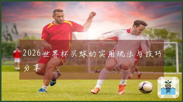 2026世界杯买球的实用玩法与技巧分享