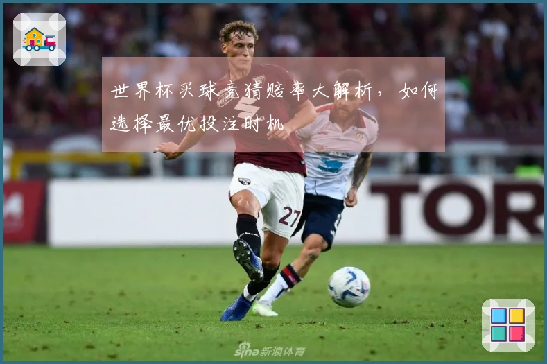 世界杯买球竞猜赔率大解析，如何选择最优投注时机