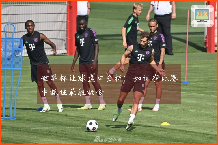 世界杯让球盘口分析：如何在比赛中抓住获胜机会