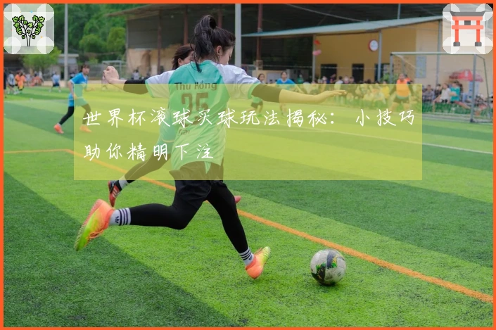 世界杯滚球买球玩法揭秘：小技巧助你精明下注