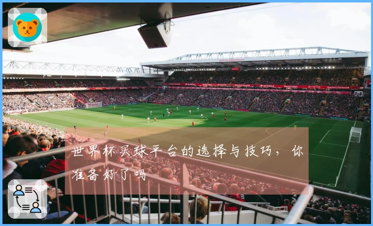 世界杯买球平台的选择与技巧，你准备好了吗