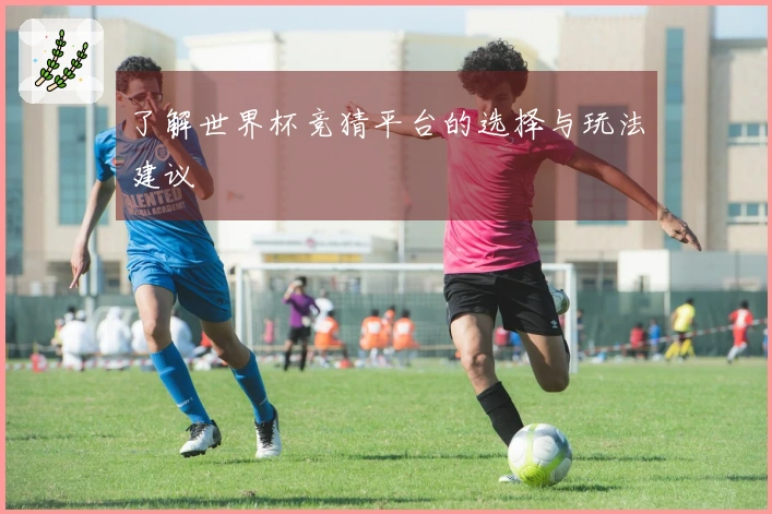 了解世界杯竞猜平台的选择与玩法建议