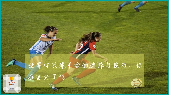 世界杯买球平台的选择与技巧，你准备好了吗