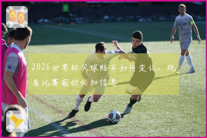 2026世界杯买球赔率如何变化，观看比赛前的必知信息