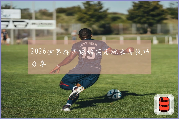 2026世界杯买球的实用玩法与技巧分享