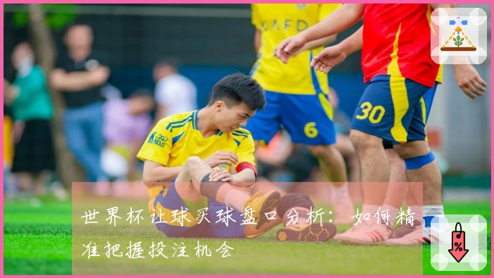 世界杯让球买球盘口分析：如何精准把握投注机会